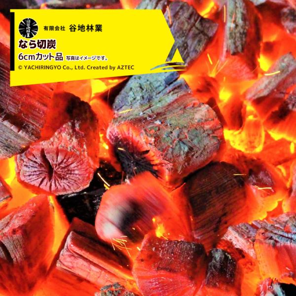 谷地林業 <4箱set品>業務用切炭 6kgx4 24kg 6cmカット品 ダンボール入