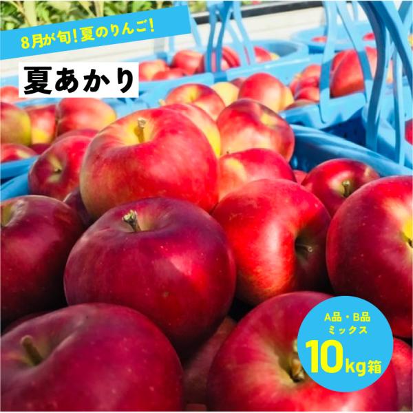 希少品種  「夏あかり10キロ箱A品B品」 農林水産大臣賞 夏リンゴ 信州産 産地直送 長野県限定品種