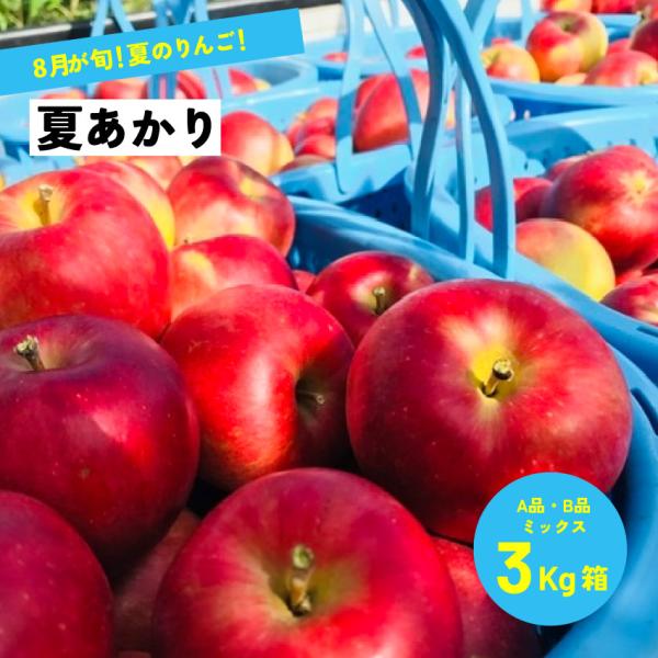 8月4日から発送開始予定  「夏あかり3キロ箱A品B品」 農林水産大臣賞 夏リンゴ 信州産 産地直送 長野県限定品種