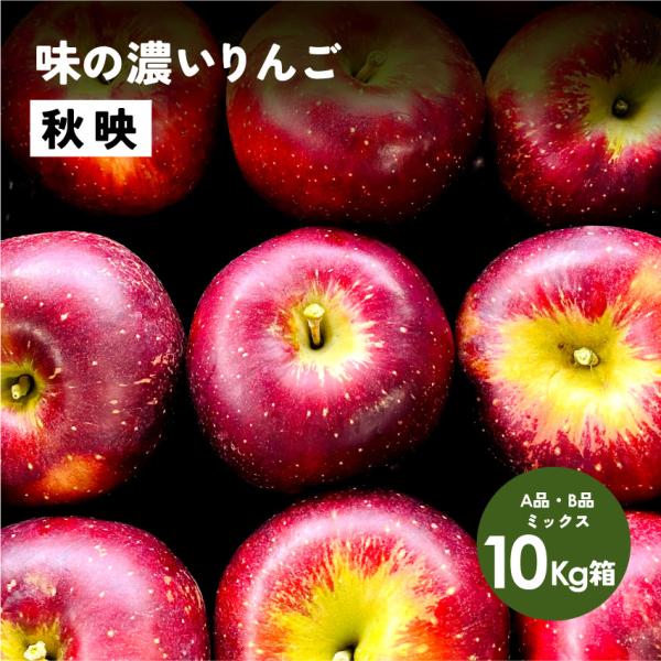 指定日不可「秋映10キロ箱A品B品」 甘い りんご 長野県 安曇野 信州 産地直送 果物 フルーツ  希少 10kg