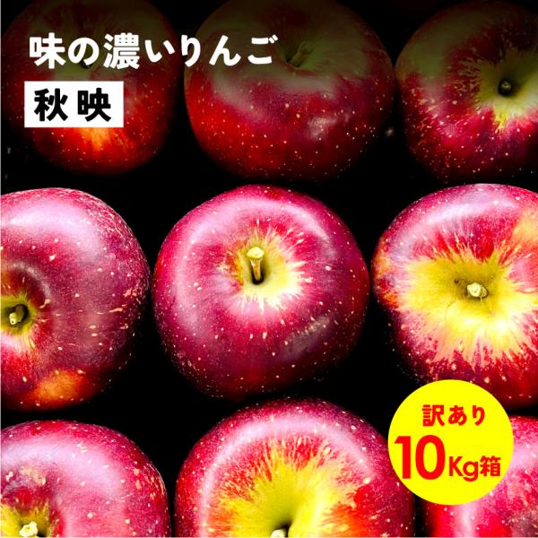 指定日不可「秋映10キロ箱訳あり品」  甘い 秋 りんご 長野県 安曇野 信州 産地直送 果物 訳あり 10kg