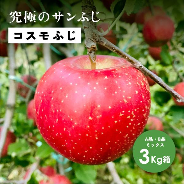 「コスモふじ3キロ箱A品B品」 農林水産大臣賞 長野県産 安曇野 信州産  幻のリンゴ 予約 希少 旬  産地直送 3キロ 箱使用  鮮度抜群 産地直送 11月収穫