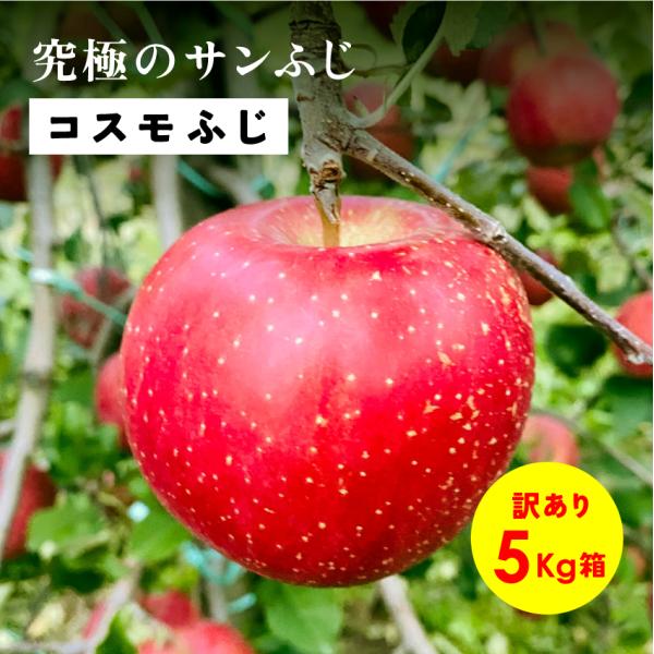 「コスモふじ5キロ箱訳あり品」 農林水産大臣賞 長野県産 安曇野 信州産 幻のリンゴ  希少 旬  産地直送 送料無料 5キロ 箱使用  鮮度抜群 産地直送   11月収穫