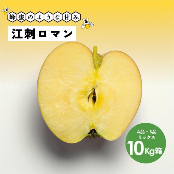 蜂蜜のような濃い甘さが魅力！長野県産 安曇野 信州産 幻 幻のリンゴ「江刺ロマン10キロ箱A品B品」
