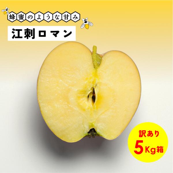蜂蜜のような濃い甘さが魅力！長野県産 安曇野 信州産 幻 幻のリンゴ「江刺ロマン5キロ箱訳あり品」