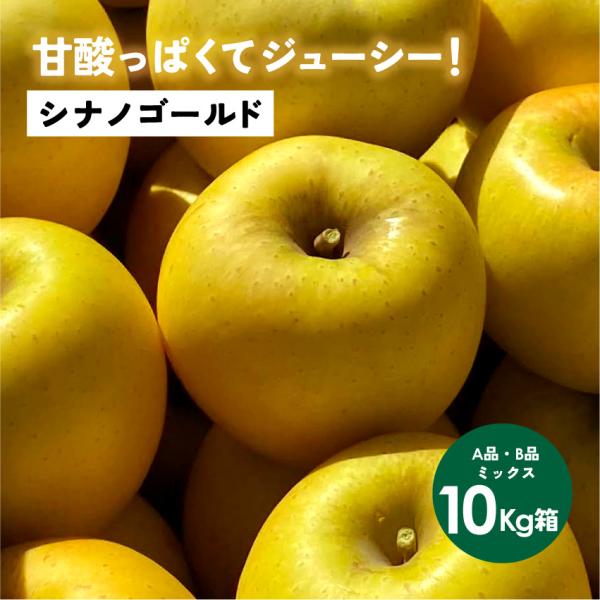 「シナノゴールド10キロ箱A品B品」酸っぱい りんご 長野県 安曇野 信州 産地直送 果物 指定日不可 贈答 爆買