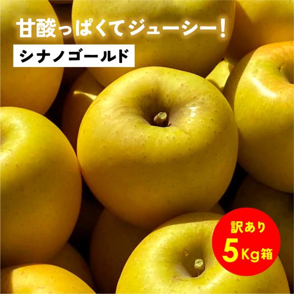 10月21日から発送開始「シナノゴールド5キロ箱訳あり品」 りんご 長野県 安曇野 信州 産地直送 果物 5kg