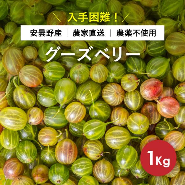 「グーズベリー1キロ」農薬不使用 農家直送 加工 長野県産 安曇野産