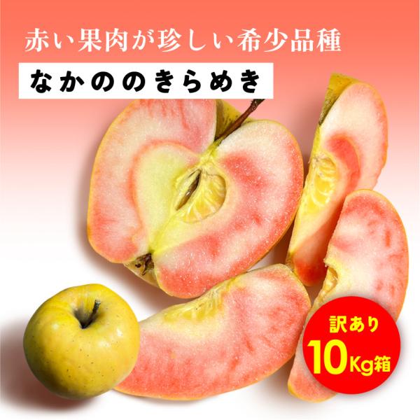 なかののきらめき 10kg 箱 訳あり 希少 発売中 りんご 長野 安曇野 信州 産地直送 「なかののきらめき10キロ箱訳あり品」