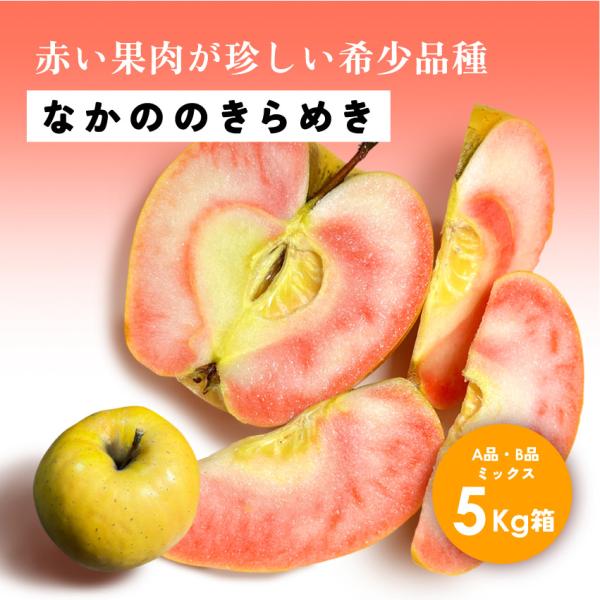 なかののきらめき 5kg 箱 A品B品ミックス 希少 発売中 りんご 長野 安曇野 信州 産地直送 「なかののきらめき5キロ箱A品B品」