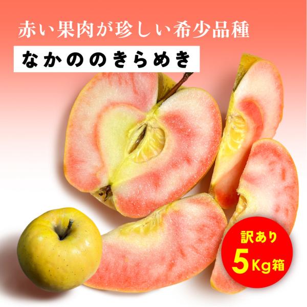 なかののきらめき 5kg 箱 訳あり 希少 発売中 りんご 長野 安曇野 信州 産地直送 「なかののきらめき5キロ箱訳あり品」
