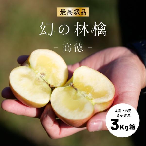 幻のりんご「高徳3キロ箱A品B品」ミックス   甘い 高級 幻 りんご 希少 ギフト 贈答 家庭 3kg 長野県 安曇野 信州 産地直送 後半