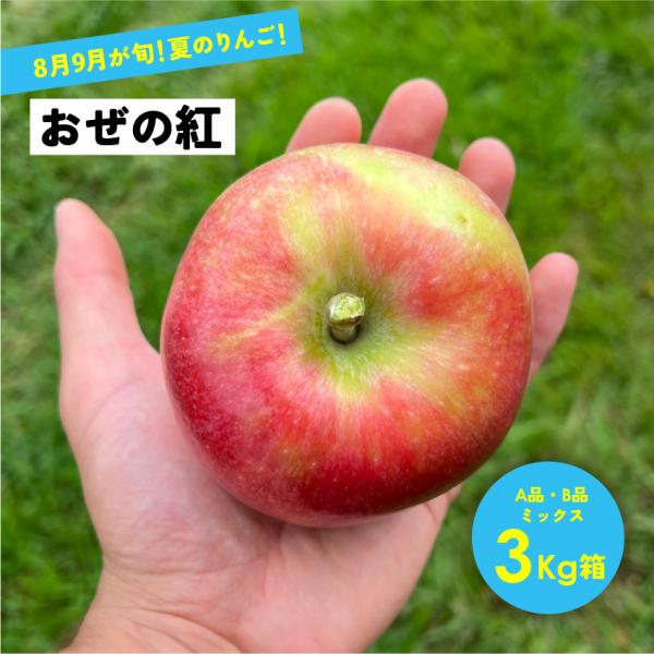 優しい甘さの果汁が溢れる！新グンマーリンゴ  長野県産 安曇野 信州産 幻 幻のリンゴ 8月収穫「おぜの紅3キロ箱A品B品」