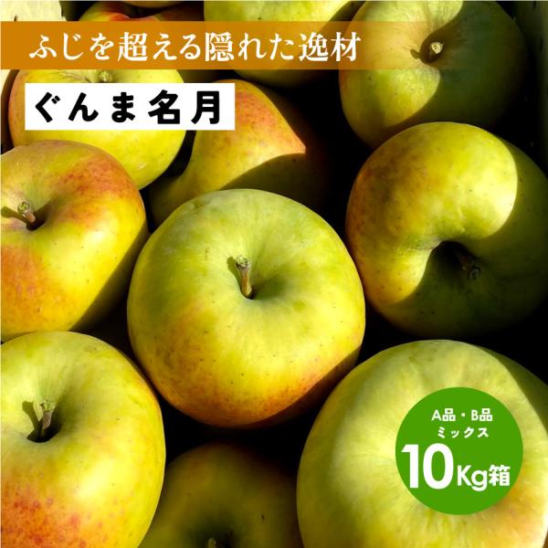 「ぐんま名月10キロ箱A品B品」 甘い りんご 長野県 安曇野 信州 産地直送 果物 フルーツ  希少 10kg