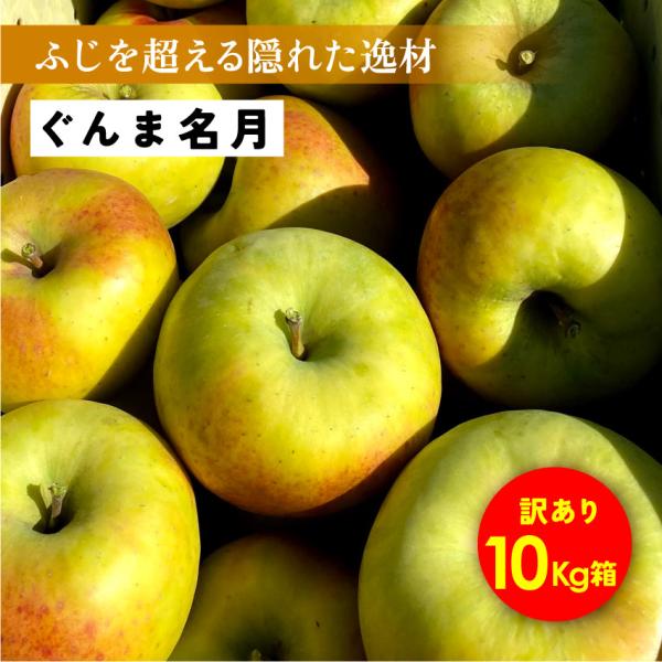 「ぐんま名月10キロ箱訳あり品」 甘い りんご 長野県 果物 フルーツ  希少 ギフト 訳あり 10kg 爆買