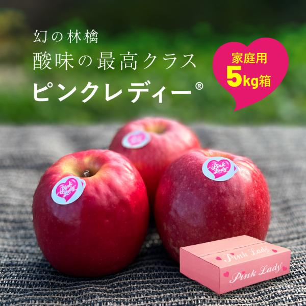 ピンクレディー 5kg 箱 B品 家庭用 キズあり 幻の林檎  希少 りんご 長野 安曇野 産地直送 「ピンクレディ5キロ箱家庭用B品」 16玉から33玉程度 ピンクレディ