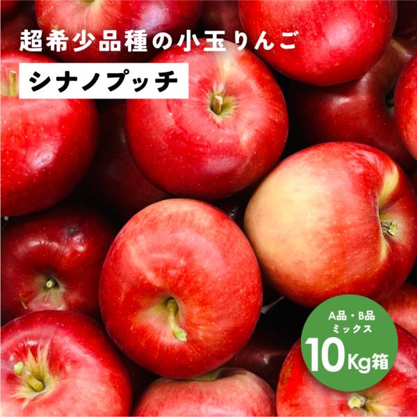 「シナノプッチ10キロ箱A品B品」  小玉 りんご 長野県 安曇野 信州 産地直送 果物 フルーツ  希少 ギフト 贈答 家庭 10kg