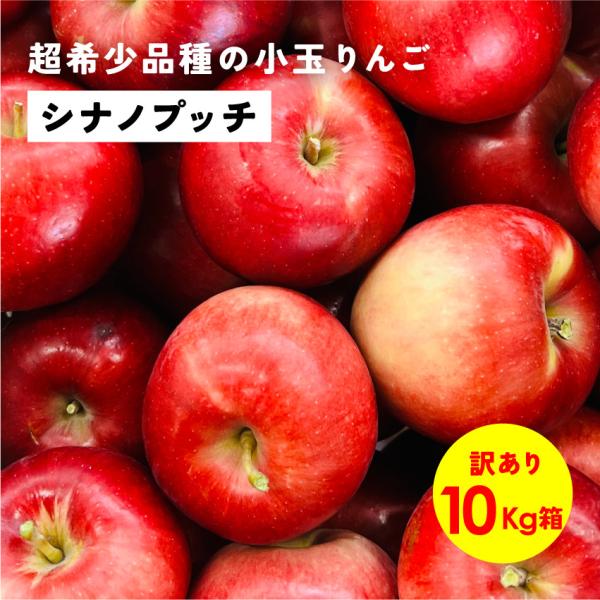 「シナノプッチ10キロ箱訳あり品」 小玉 りんご 長野県 安曇野 信州 産地直送 果物 フルーツ  希少  訳あり 10kg