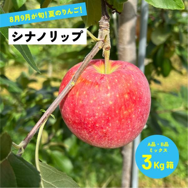 8月12日から発送開始！人気爆発中 シナノリップ 3キロ箱 贈答品家庭用ミックス サビ 小きず有り「シナノリップ3キロ箱A品B品」 指定不可
