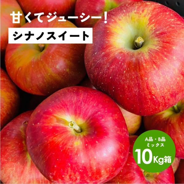 「シナノスイート10キロ箱A品B品」  甘い りんご 長野県 安曇野 信州 産地直送 果物 10kg