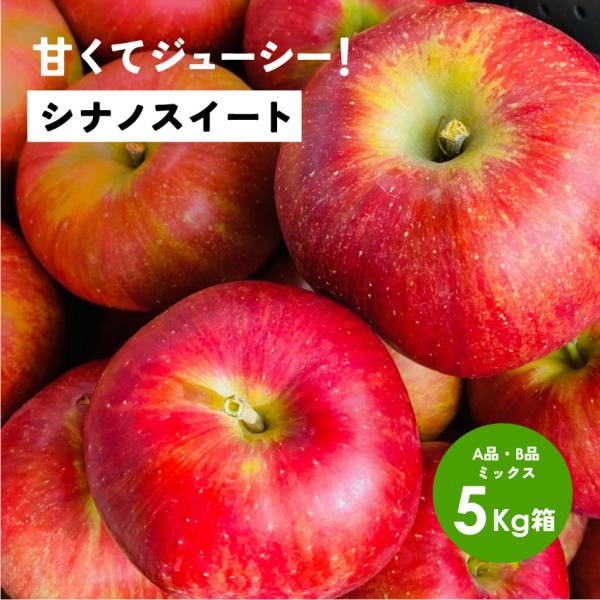 「シナノスイート5キロ箱A品B品」  甘い りんご 長野県 安曇野 信州 産地直送 果物 5kg