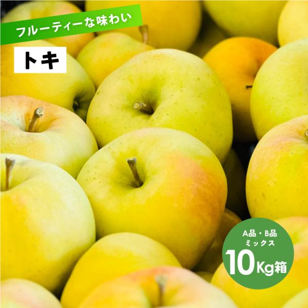 フルーティーな香りと沢山の果汁 長野県産 安曇野 信州産 幻 幻のリンゴ 9月収穫「トキ10キロ箱A品B品」