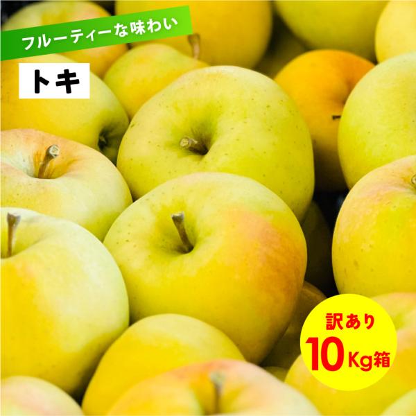フルーティーな香りと沢山の果汁 長野県産 安曇野 信州産 幻 幻のリンゴ 9月収穫「トキ10キロ箱訳あり品」