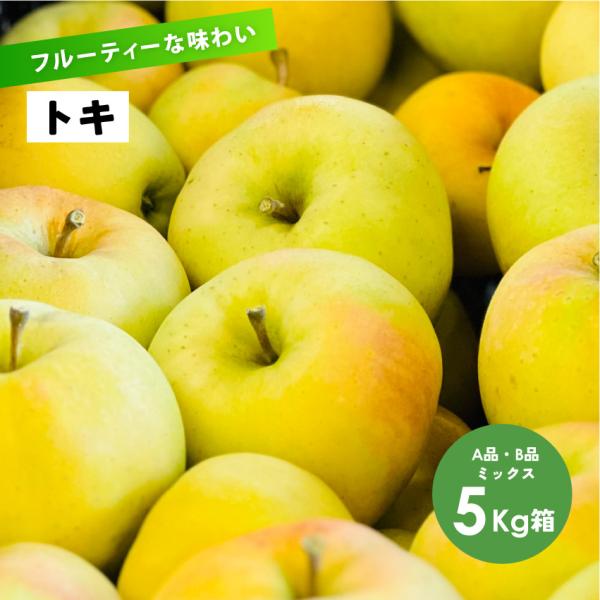 フルーティーな香りと沢山の果汁 長野県産 安曇野 信州産 幻 幻のリンゴ 9月収穫「トキ5キロ箱A品B品」