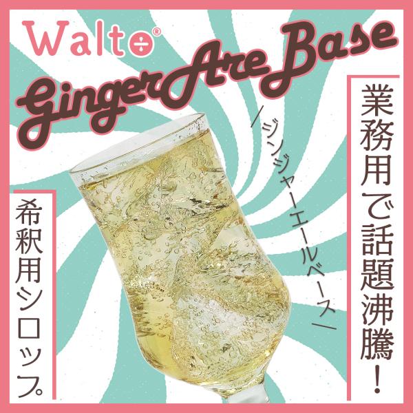 [Release date: December 15, 2025]【 ソーダと"割ると"ジンジャーエールに♪ 】業務用のソフトドリンク原液として、大注目のWalto(ワルト)シリーズからご家庭でも楽しめる小容量サイズが新登場！・・・・・・商...