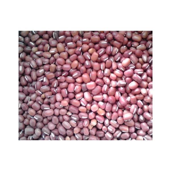 [Release date: December 1, 2011]安曇野エコ 山本則子 スープの会 味噌 大豆　ナカセンナリ 安曇野 国産 松本市 信州 自然栽培 (農薬不使用　化学肥料不使用) 国産ANM長野県 WEB 物産展_食品