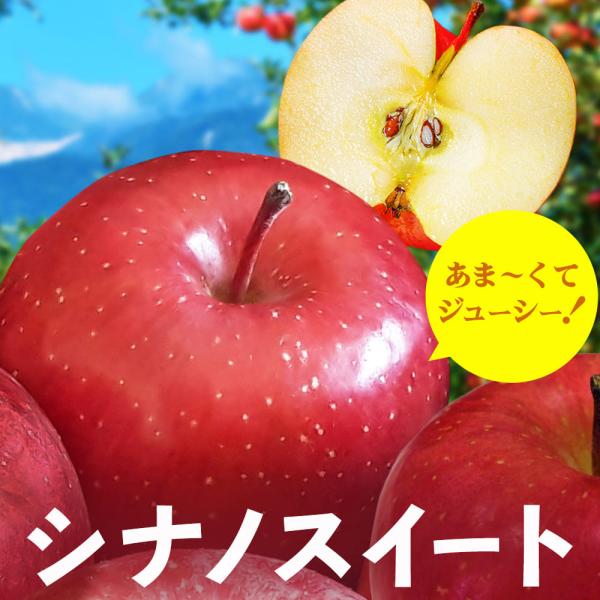 りんご シナノスイート 信州産 5kg  (約16〜20玉) 10月上旬〜発送 リンゴ 林檎 長野 ギフト 贈答 2026年度予約