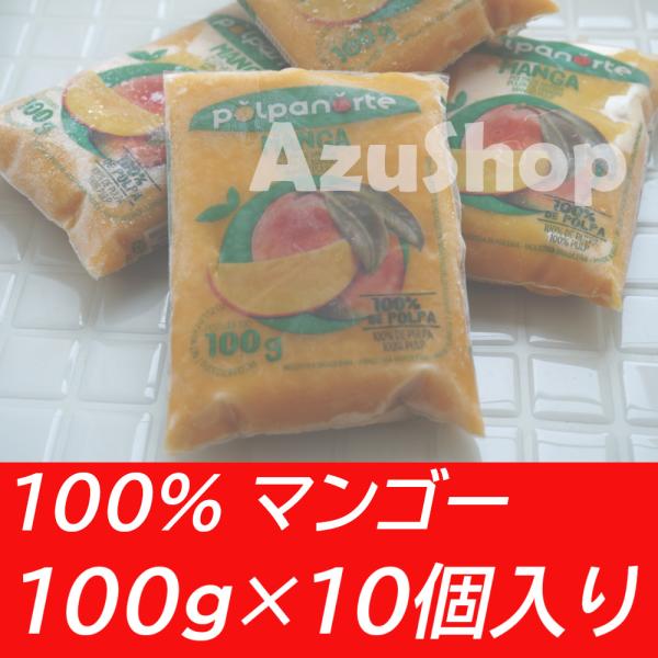 マンゴー 100% 冷凍ピューレ 1kg(100g×10P) POLPA NORTE ポルパノルテ 賞味期限2027年2月28日