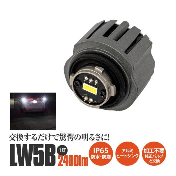 アクアライト　PK Amazon | コンテック アクアヘッドライト プロ 【明るさ140