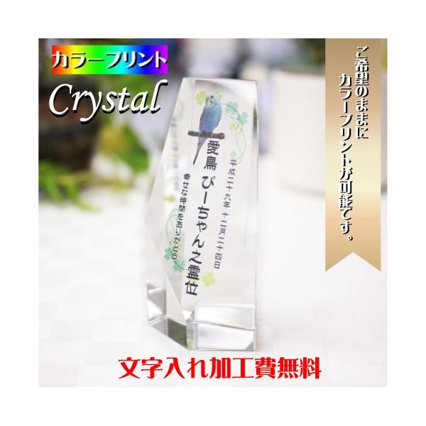 ybgʔv NX^jg ʔv ybg A NX^ʔv ybg{ UVvg {ʔv