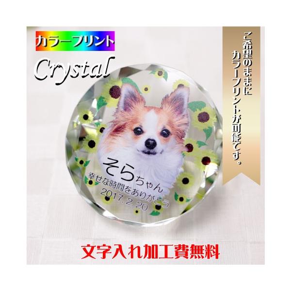 ybgʔv ʔv ybg I[_[Ch J[vg