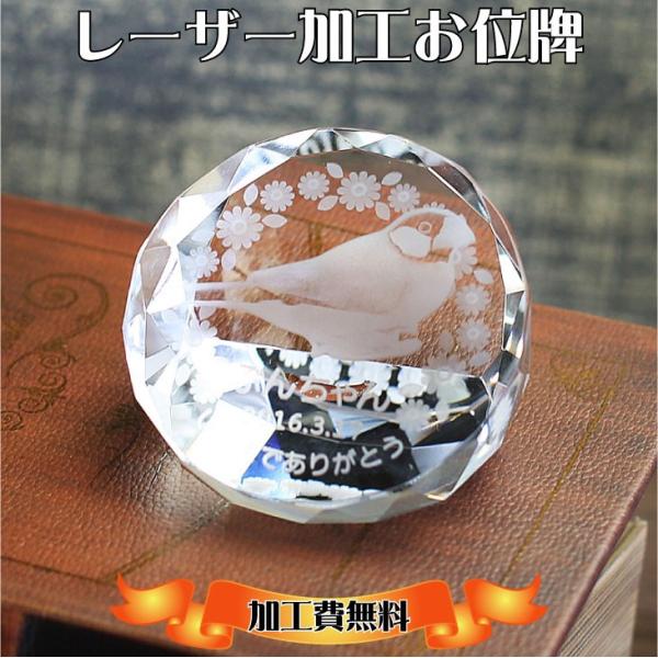 ybgʔv ybg{ pi ʐ^ I[_[Ch ʔv ybgd