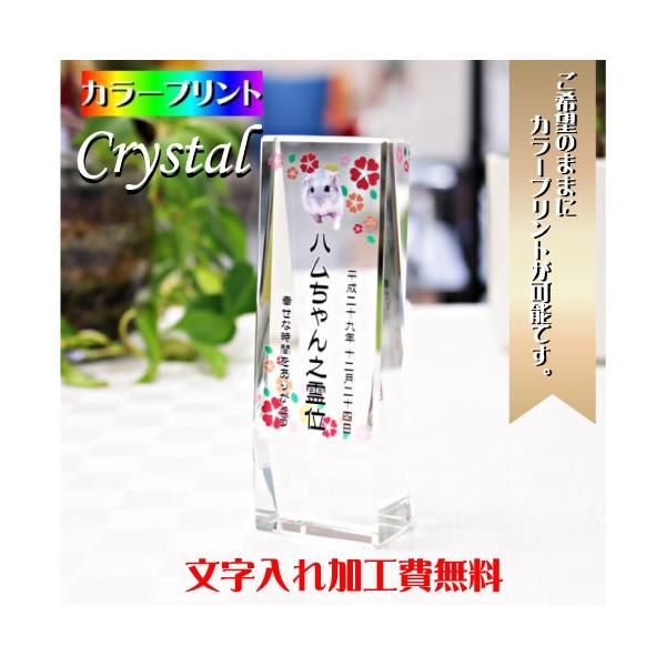 ybgʔv ʔv ybg I[_[Ch J[vg