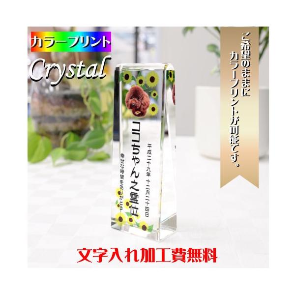 ybgʔv ʔv ybg I[_[Ch J[vg