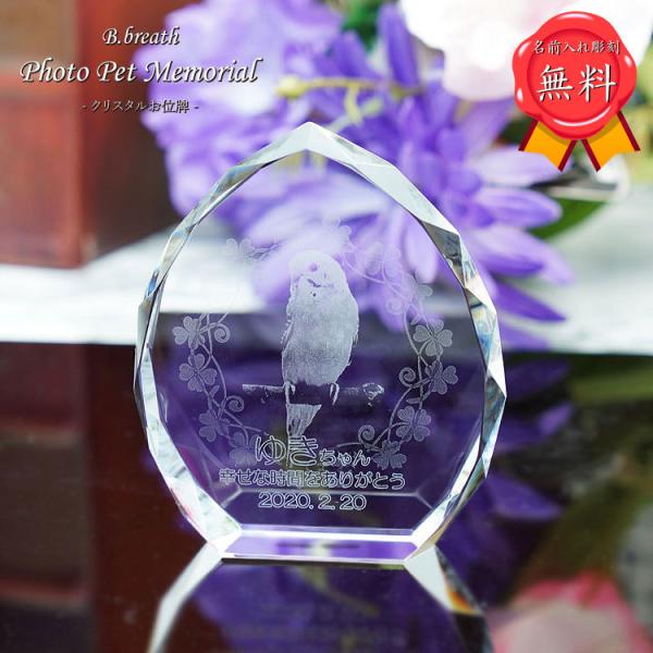 ybgʔv ʐ^ ybg{ IWi  I[_[Ch ʔv pet ybgd