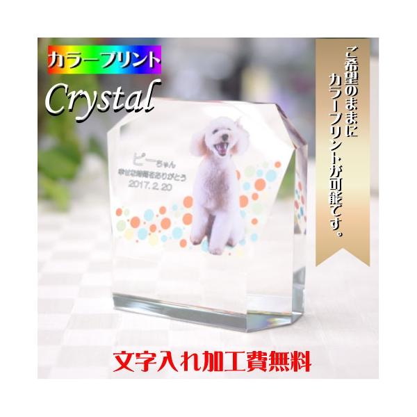 ybg ʔv ybgʔv A e d  NX^ʔv ybg{ {ʔv