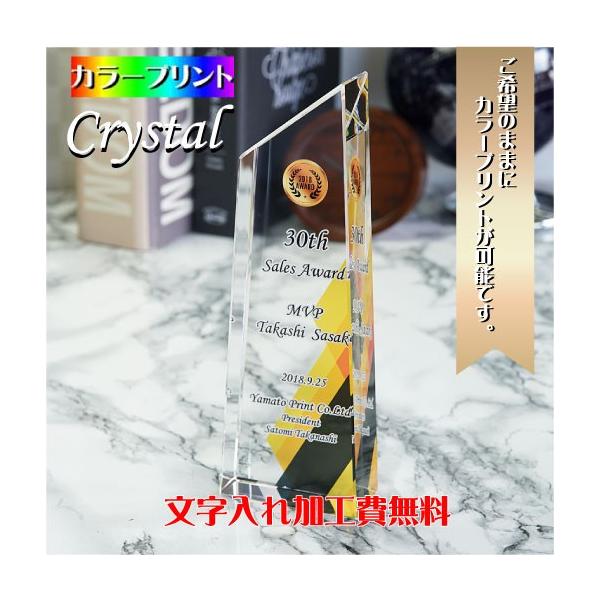 永年勤続表彰 会社記念 創業祝い Uvカラープリント加工 記念品 名入れ トロフィー 綬章 お祝い 勇退記念 Buyee Buyee Japanese Proxy Service Buy From Japan Bot Online