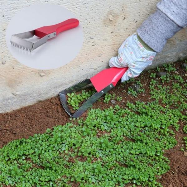    K[fjO G 芙 GƂ n   J} _ |pi ֗ ObY SV-6971