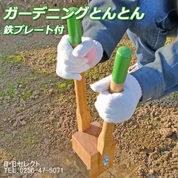 K[fjO ObY JP yȂ炵 Ȃ炵 ył ƒ؉ Sv[gt Y y  K[fjOƂƂ 231031