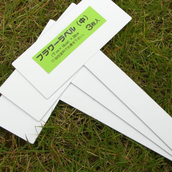フラワーラベル FG T型フラワーラベル3枚入 中 No012896 ラベル ネーム