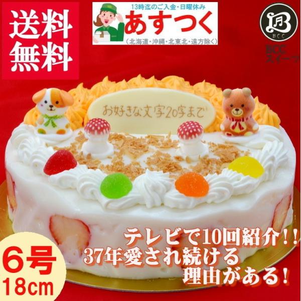 誕生日ケーキ バースデーケーキプレート ｄｘデコ 大阪ヨーグルトケーキ 6号 18cm Buyee Buyee Japanese Proxy Service Buy From Japan Bot Online