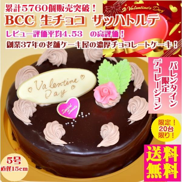 ケーキ チョコレートケーキ5号 15cmデコ03