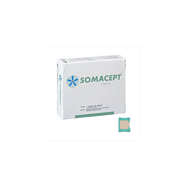 ma \}Zvg kTCY 100 ʈË@  u[ d hȂ畆h @̃V[ TVf BC-N V-1