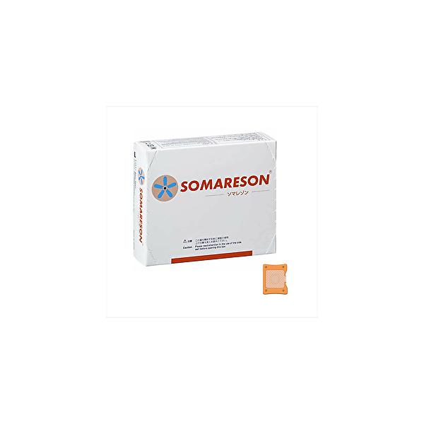 ma \}] kTCY 100 ʈË@  IW _炩 hȂ畆h @̃V[ TVf BC-N V-1