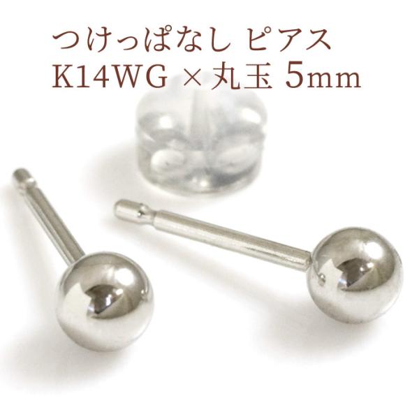 ZJhsAX ۋ 5mm |Xg0.9mm jbPt[ X^bhsAX K14zCgS[h  NlRDM֑Ήi P[XMtgΉI