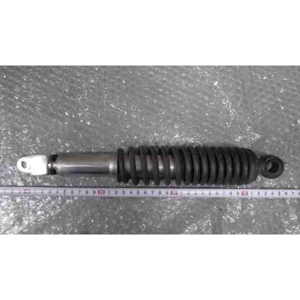 スキンダプサス　オーレア　ネビュラ　激レア❗️ 19_73479128_1_3.jpg